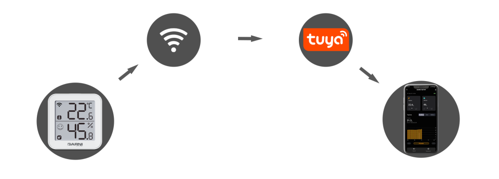 GARNI 158THT Server Tuya